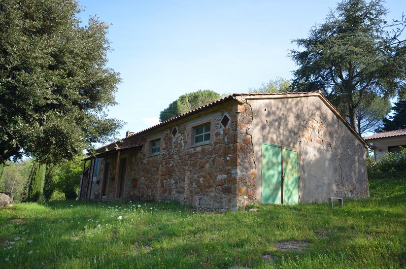 Amiata Immobiliare - Annuncio rif.AZ 247 - AGENZIA IMMOBILIARE AMIATA - Case in vendita sul Monte Amiata - Affitti - Ville casali appartamenti in affitto - appartamenti in vendita sull amiata - REAL ESTATE